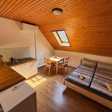 Hisa Patricija Apartman Soča Kültér fotó