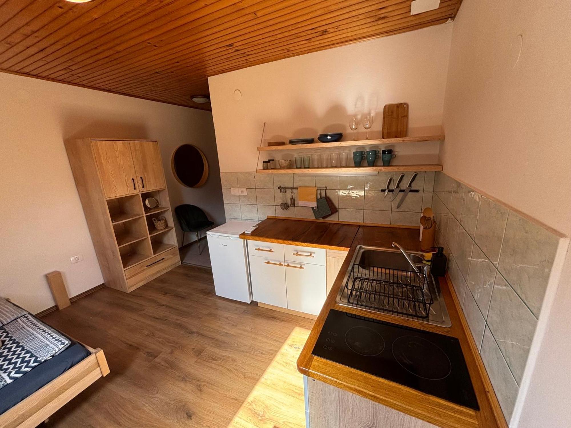 Hisa Patricija Apartman Soča Kültér fotó