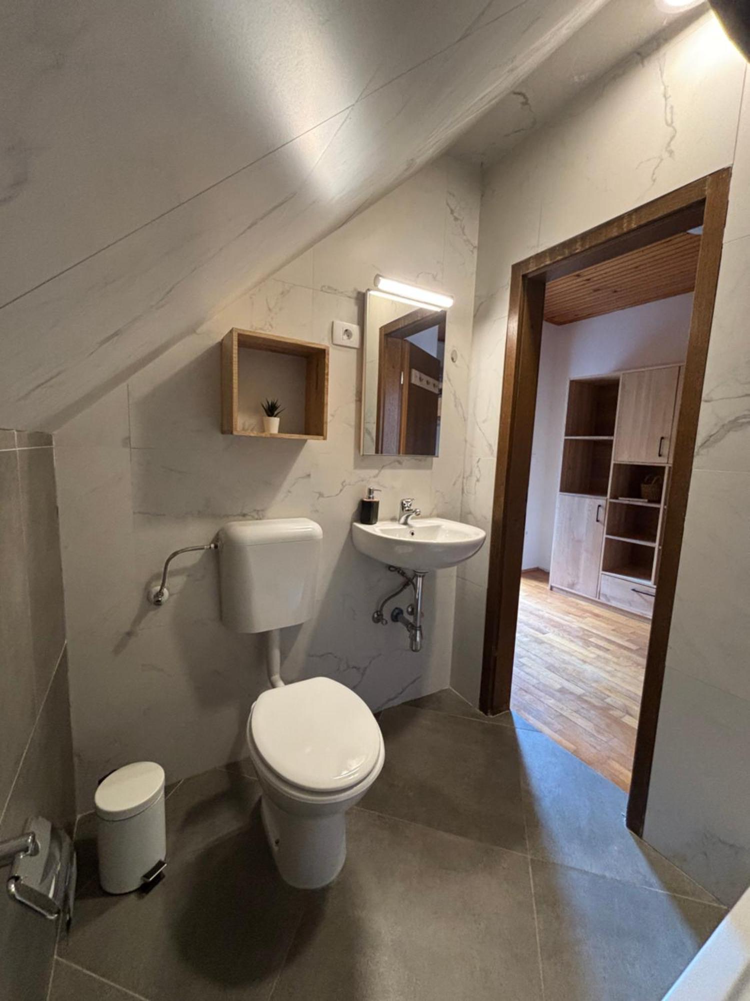 Hisa Patricija Apartman Soča Kültér fotó