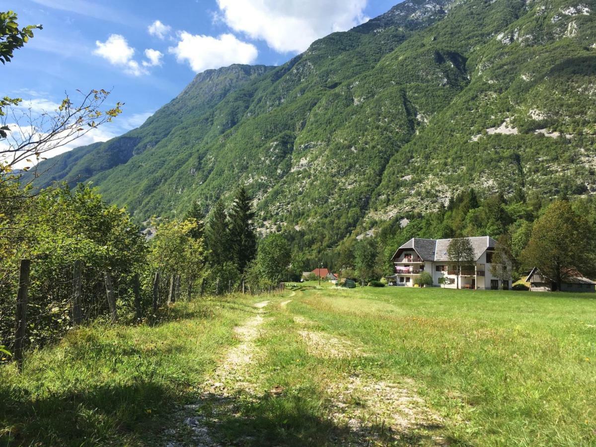 Hisa Patricija Apartman Soča Kültér fotó